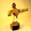 bird_huskwings_view1