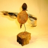 bird_huskwings_view2