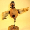 bird_huskwings_view4
