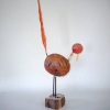 bird_redtail_view1