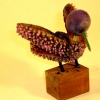 bird_starfish_view1