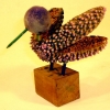 bird_starfish_view3